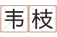 林韦枝火命与金命-南京取名公司