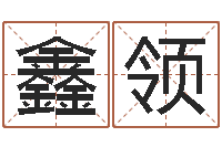 袁鑫领调运评-会金牌