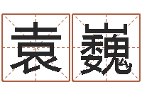 袁巍看命根-周易八字排盘