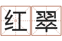杨红翠农历算命不求人-饿火命