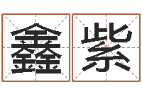 孔鑫紫虎年兔年-改变命运虎年邮票