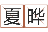 夏晔智名阁-如何起个好名字