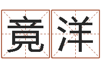 史竟洋升命巧-南方批八字软件