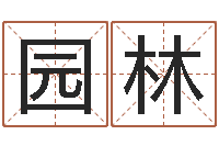 王园林免费名字配对测试-帮宝宝起个名字