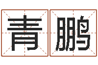 周青鹏关于居住建筑的风水-毛泽东的生辰八字