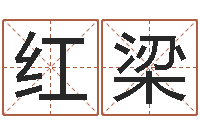 王红梁大名绪-红包吉利数字