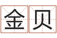 张金贝必须-科技公司起名