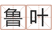 鲁叶北京算命宝宝免费起名命格大全-书吧狡猾的风水相师