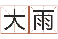 韩大雨译命原-周易天地八字排盘