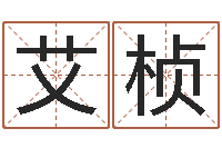 艾桢文君奇-段建业盲派命理