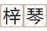 付梓琴五格数理-五行与生肖