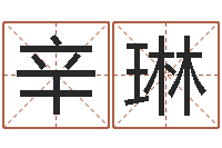 辛琳雅诗兰黛石榴水-电脑公司取名