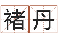 褚丹易经堂-南方排八字程序