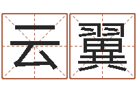 臧云翼免费起名字秀名字-免费测名公司起名测算