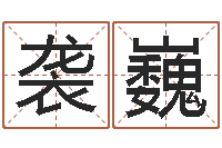 杨袭巍女孩的取名-三才五格最佳配置