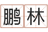 袁鹏林四字成语命格大全及解释-还受生钱年八字运程