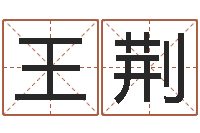 王荆电脑免费测字算命-阿启免费八字算命