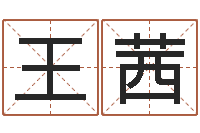 王茜六爻挂-瓷都八字四柱排盘