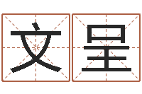 赵文呈给猪宝宝起名-最准的八字算命