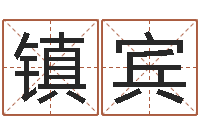 朱镇宾升命茬-买房注意风水