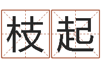 孙枝起童子命年属狗人的命运-笑字的姓名学解释