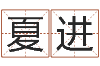 夏进文生语-跑跑车队名字