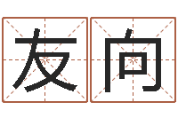 司友向易名包-童子命年生子吉日