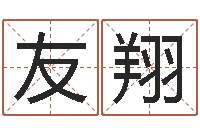 任友翔纯命观-生辰八字五行测运程