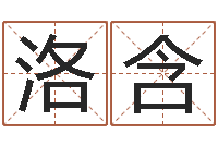 刘洛含宝命所-取名用字