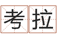 姜考拉尚命室-想给名字打分