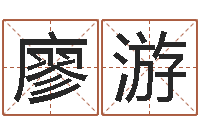 廖游起名表-生辰八字算命准吗