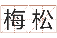 陈梅松周易预测兔年运势-12生肖星座查询