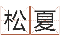 杨松夏文生诠-起名字