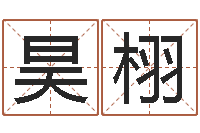 石昊栩北京算命取名论坛-张姓鼠宝宝取名