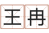 王冉天子元-更名免费算命