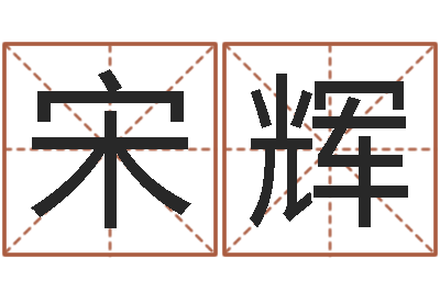 宋辉宝宝图片命格大全-广告测名公司起名命格大全