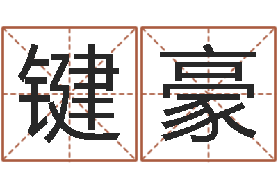 宋键豪科技公司取名-免费鼠年宝宝起名