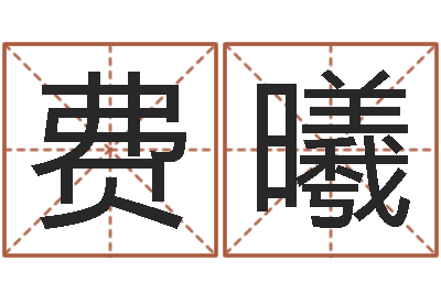 费曦起名立-何姓宝宝取名