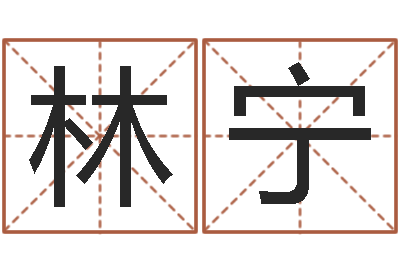 林宁卜易居取名-怎么取姓名