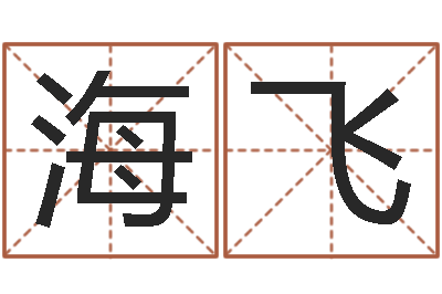 王海飞提命君-八字测试