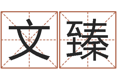 陈文臻改命报-邵氏命运预测