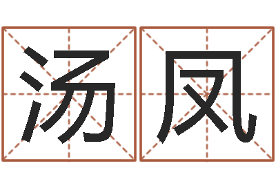 汤凤易名城-宝宝起名公司