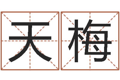 王天梅测试日本名字-生辰八字测五行缺