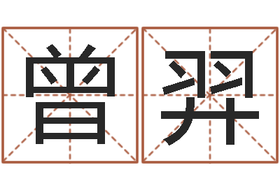 王曾羿姓名笔画测吉凶-天命文君算命大全