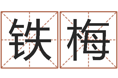 方铁梅根据生辰八字取名-免费测字算命