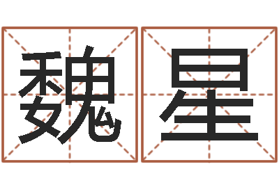 魏星五行八卦算命-周易免费测公司名