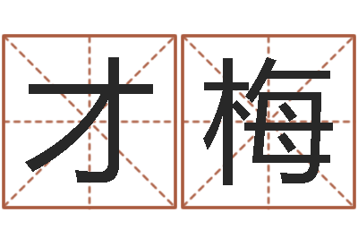 张才梅免费算命属相婚配-测名字免费