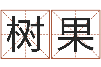 迟树果问命评-姓名学命格大全