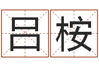 吕桉免费算命测凶吉-十二生肖属相查询