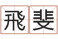 林飛斐时辰的五行-地图